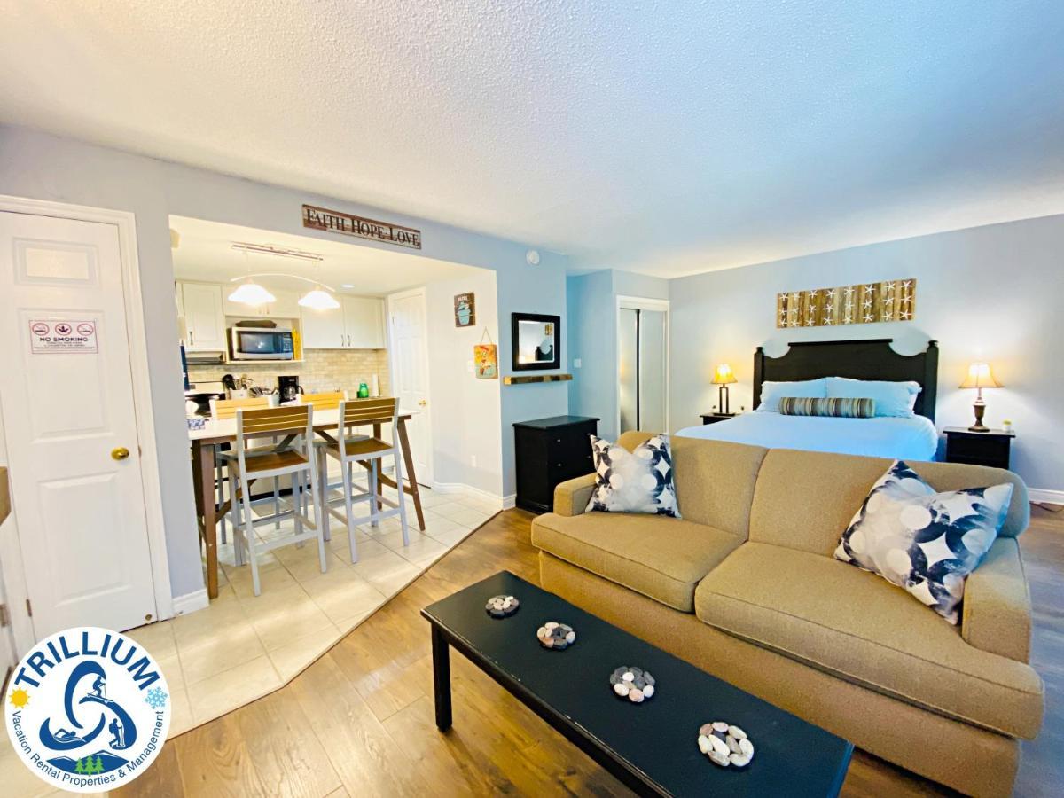 Slopeside Blue Mountain Condo - Wifi, Linens/Towels, Ski In/Out Blue Mountains Εξωτερικό φωτογραφία