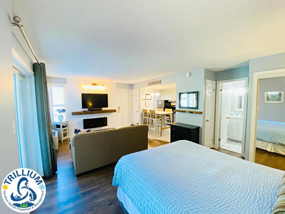Slopeside Blue Mountain Condo - Wifi, Linens/Towels, Ski In/Out Blue Mountains Εξωτερικό φωτογραφία