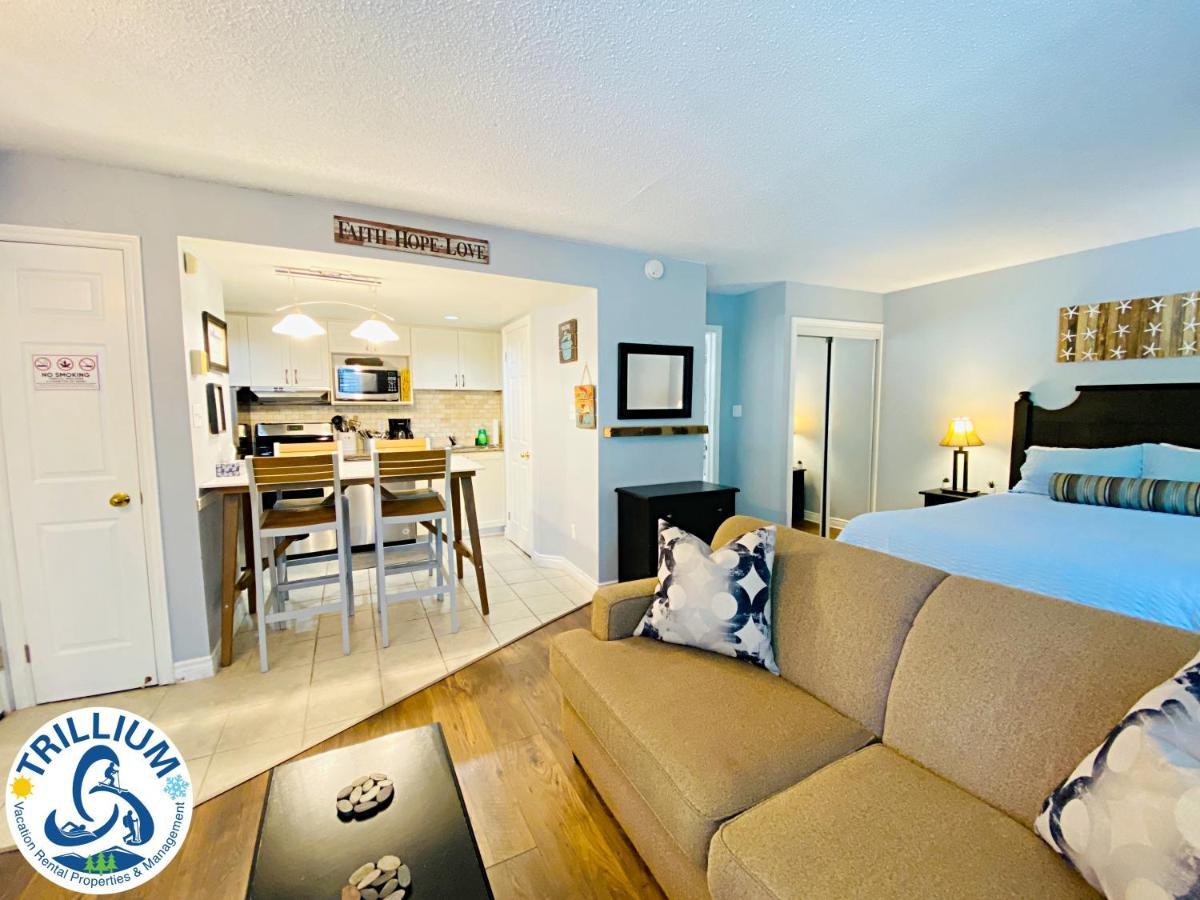 Slopeside Blue Mountain Condo - Wifi, Linens/Towels, Ski In/Out Blue Mountains Εξωτερικό φωτογραφία
