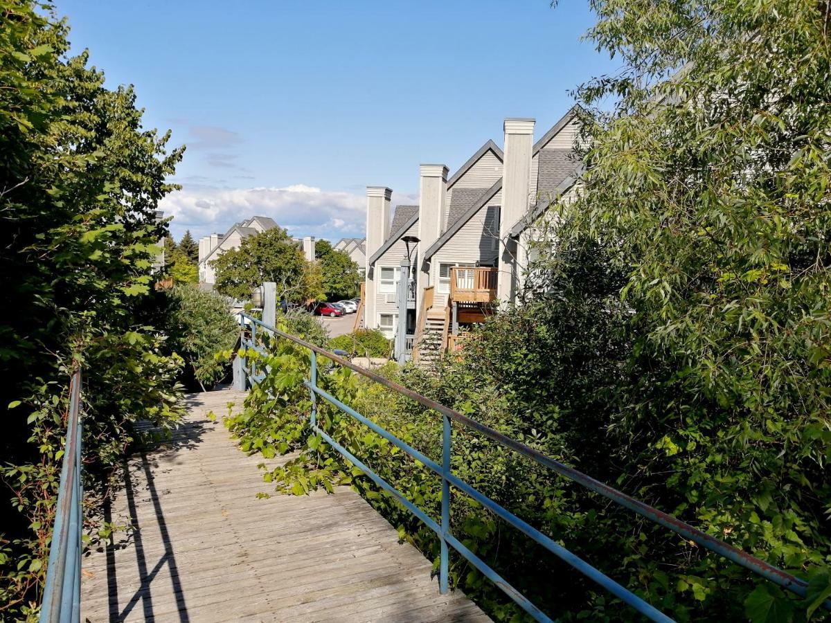 Slopeside Blue Mountain Condo - Wifi, Linens/Towels, Ski In/Out Blue Mountains Εξωτερικό φωτογραφία